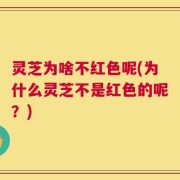 灵芝为啥不红色呢(为什么灵芝不是红色的呢？)