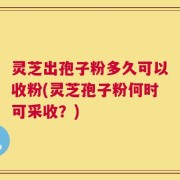 灵芝出孢子粉多久可以收粉(灵芝孢子粉何时可采收？)