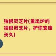 独根灵芝片(重出炉的独根灵芝片，护你安康长久)