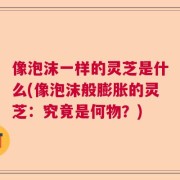 像泡沫一样的灵芝是什么(像泡沫般膨胀的灵芝：究竟是何物？)