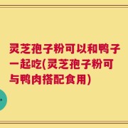 灵芝孢子粉可以和鸭子一起吃(灵芝孢子粉可与鸭肉搭配食用)