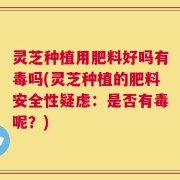 灵芝种植用肥料好吗有毒吗(灵芝种植的肥料安全性疑虑：是否有毒呢？)