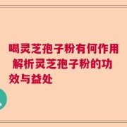 喝灵芝孢子粉有何作用 解析灵芝孢子粉的功效与益处