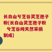 长白山兮芝谷灵芝孢子粉(长白山灵芝孢子粉  兮芝谷纯天然采摘制成)