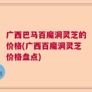 广西巴马百魔洞灵芝的价格(广西百魔洞灵芝价格盘点)
