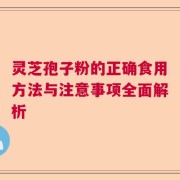 灵芝孢子粉的正确食用方法与注意事项全面解析