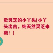 卖灵芝的小丫头(小丫头出击，纯天然灵芝来袭！)