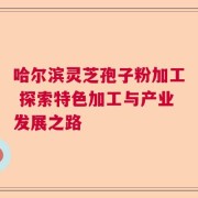 哈尔滨灵芝孢子粉加工 探索特色加工与产业发展之路
