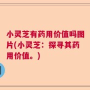 小灵芝有药用价值吗图片(小灵芝：探寻其药用价值。)