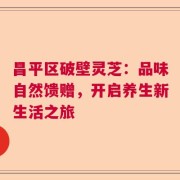 昌平区破壁灵芝：品味自然馈赠，开启养生新生活之旅