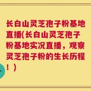 长白山灵芝孢子粉基地直播(长白山灵芝孢子粉基地实况直播，观察灵芝孢子粉的生长历程！)