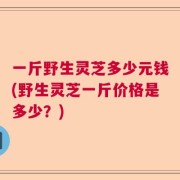 一斤野生灵芝多少元钱(野生灵芝一斤价格是多少？)