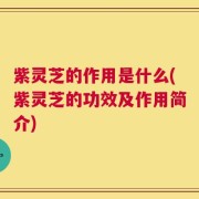 紫灵芝的作用是什么(紫灵芝的功效及作用简介)