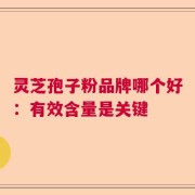 灵芝孢子粉品牌哪个好：有效含量是关键