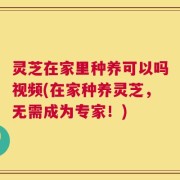 灵芝在家里种养可以吗视频(在家种养灵芝，无需成为专家！)