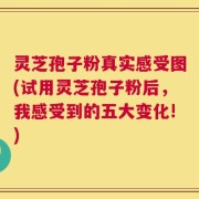 灵芝孢子粉真实感受图(试用灵芝孢子粉后，我感受到的五大变化!)