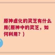 原神虚化的灵芝有什么用(原神中的灵芝，如何利用？)