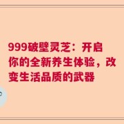 999破壁灵芝：开启你的全新养生体验，改变生活品质的武器
