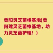 贵阳灵芝菌棒基地(贵阳建灵芝菌棒基地，助力灵芝菌护理！)