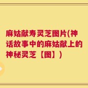 麻姑献寿灵芝图片(神话故事中的麻姑献上的神秘灵芝【图】)