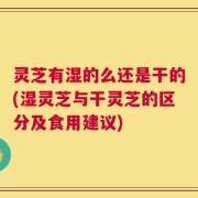 灵芝有湿的么还是干的(湿灵芝与干灵芝的区分及食用建议)