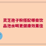 灵芝孢子粉搭配哪些饮品泡水喝更健康效果佳