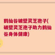 鹤仙谷破壁灵芝孢子(破壁灵芝孢子助力鹤仙谷身体健康)