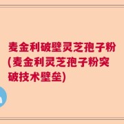 麦金利破壁灵芝孢子粉(麦金利灵芝孢子粉突破技术壁垒)