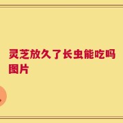 灵芝放久了长虫能吃吗图片