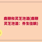 鹿鞭和灵芝泡酒(鹿鞭灵芝泡酒：养生佳酿)