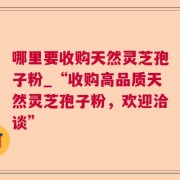 哪里要收购天然灵芝孢子粉_“收购高品质天然灵芝孢子粉，欢迎洽谈”
