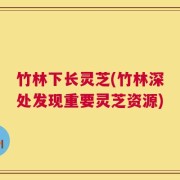 竹林下长灵芝(竹林深处发现重要灵芝资源)