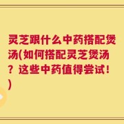 灵芝跟什么中药搭配煲汤(如何搭配灵芝煲汤？这些中药值得尝试！)