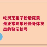 吃灵芝孢子粉后尿黄 是正常现象还是身体发出的警示信号