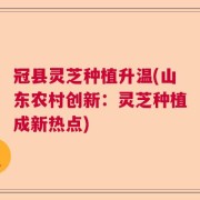 冠县灵芝种植升温(山东农村创新：灵芝种植成新热点)