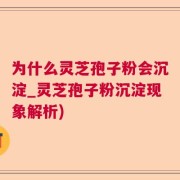 为什么灵芝孢子粉会沉淀_灵芝孢子粉沉淀现象解析)