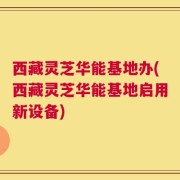 西藏灵芝华能基地办(西藏灵芝华能基地启用新设备)