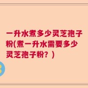 一升水煮多少灵芝孢子粉(煮一升水需要多少灵芝孢子粉？)