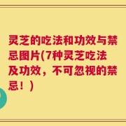灵芝的吃法和功效与禁忌图片(7种灵芝吃法及功效，不可忽视的禁忌！)