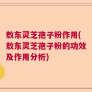敖东灵芝孢子粉作用(敖东灵芝孢子粉的功效及作用分析)