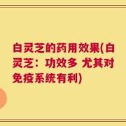 白灵芝的药用效果(白灵芝：功效多 尤其对免疫系统有利)