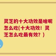 灵芝的十大功效是啥呢怎么吃(十大功效！灵芝怎么吃最有效？)