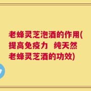 老蜂灵芝泡酒的作用(提高免疫力  纯天然老蜂灵芝酒的功效)