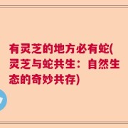 有灵芝的地方必有蛇(灵芝与蛇共生：自然生态的奇妙共存)