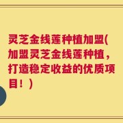 灵芝金线莲种植加盟(加盟灵芝金线莲种植，打造稳定收益的优质项目！)