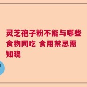 灵芝孢子粉不能与哪些食物同吃 食用禁忌需知晓