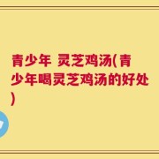 青少年 灵芝鸡汤(青少年喝灵芝鸡汤的好处)