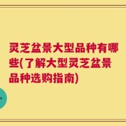 灵芝盆景大型品种有哪些(了解大型灵芝盆景品种选购指南)