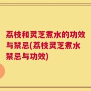 荔枝和灵芝煮水的功效与禁忌(荔枝灵芝煮水禁忌与功效)