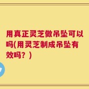 用真正灵芝做吊坠可以吗(用灵芝制成吊坠有效吗？)